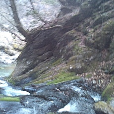 130429_n01.jpg