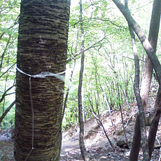 130526_p26.jpg