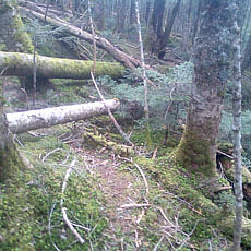 130706_p27.jpg