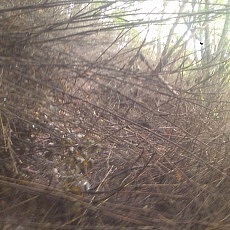 131006_p18.jpg