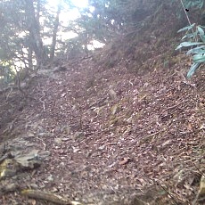 131127_p14.jpg