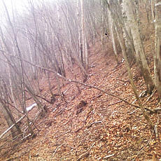 140419_p11.jpg