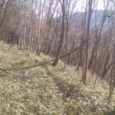 140504_p01.jpg
