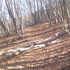 150330_p06.jpg