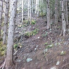150920-01_p06.jpg