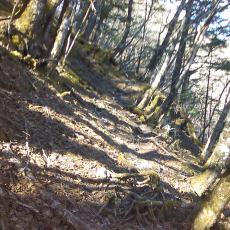 160419-01_p06.jpg