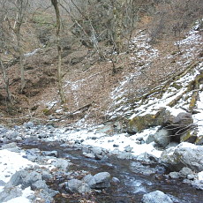 170203_p20.jpg