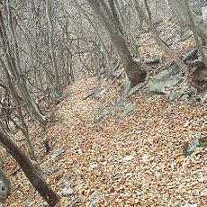 190323_p04.jpg