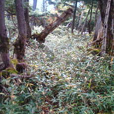 201004_p19.jpg