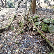 201219_p12.jpg