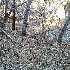 201220_p29.jpg