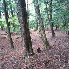 220515_p10.jpg