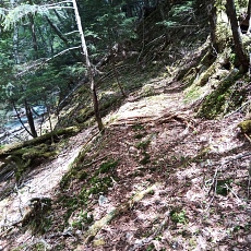 220528_p33.jpg