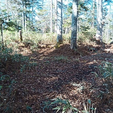 221112_p43.jpg
