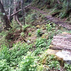 240612_p28.jpg