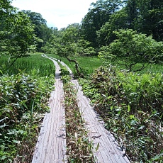 250629_p15.jpg