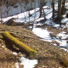 160320_p10.jpg