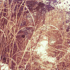 790202_p01.jpg