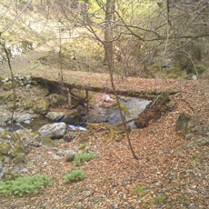 130414_p06.jpg