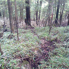 130623_p07.jpg