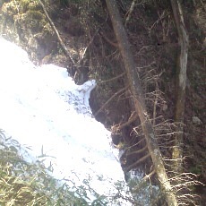 140504_p19.jpg
