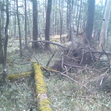 140517_p25.jpg