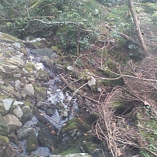 140913_p33.jpg