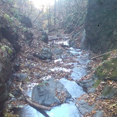 141103_p20.jpg
