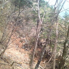 150429_p25.jpg