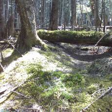 150522_p13.jpg