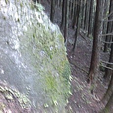 150704_p10.jpg