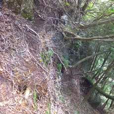 150905_p10.jpg