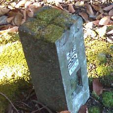 151103_p06.jpg