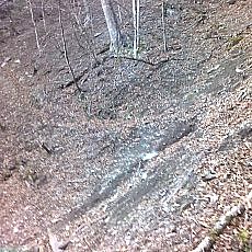 151207_p05.jpg