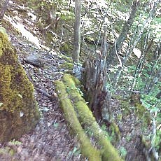 160603_p07.jpg