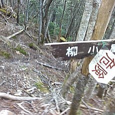 160603_p39.jpg