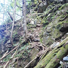 161015_p23.jpg