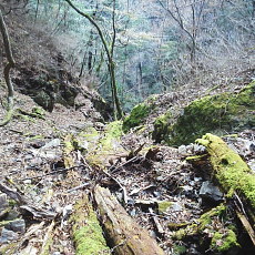 161112_p19.jpg