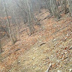 190323_p05.jpg