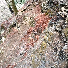 220416_p13.jpg