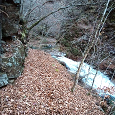 231030_p48.jpg