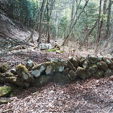 230502_p34.jpg