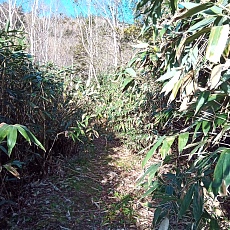 240530_p14.jpg