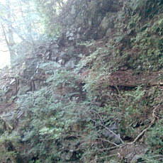 121007_p08.jpg