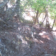 140517_p12.jpg