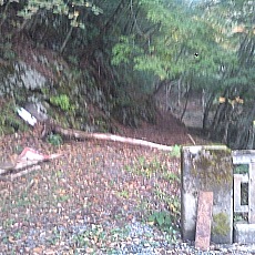 141011_p01.jpg