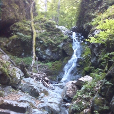 150605_p16.jpg