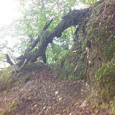 150905_p16.jpg