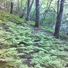 160603_p18.jpg