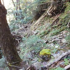 161015_p19.jpg